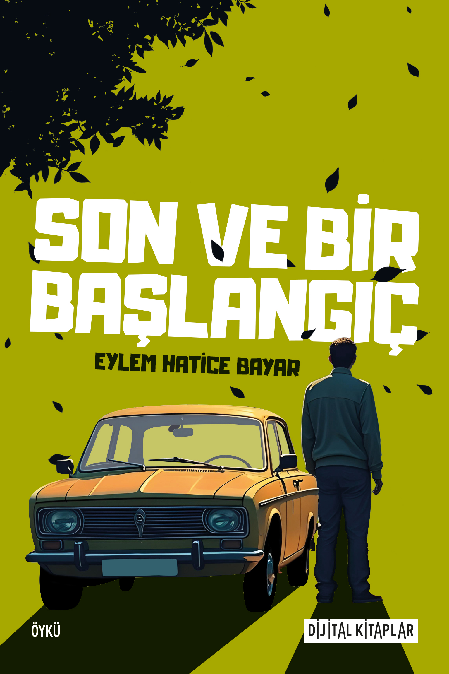 Son ve Bir Başlangıç